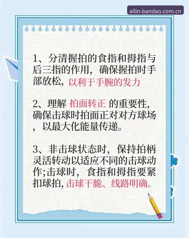 半岛体育平台更新实用技巧，提升使用体验的必备知识