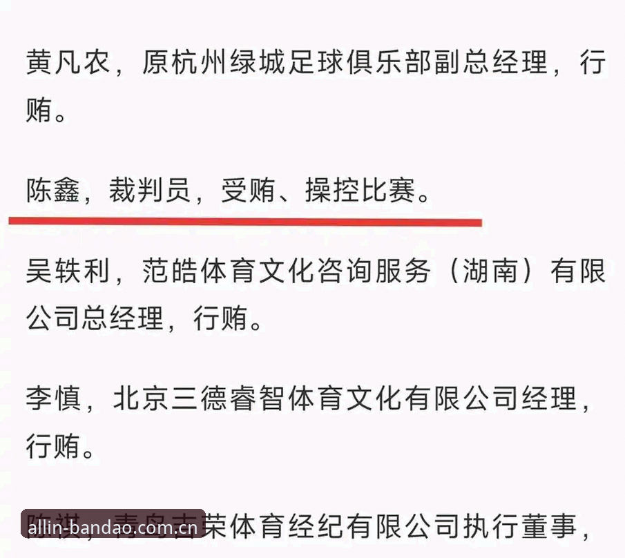 足协第三批禁足名单深度解读指南——半岛体育平台带你看懂行业整顿风暴